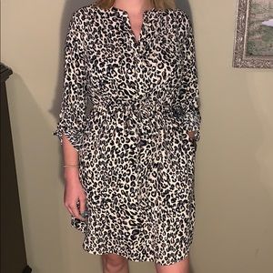 Leopard work dress!